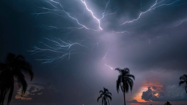 ধান কাটার সময় বজ্রপাতে শ্রমিকের মৃত্যু