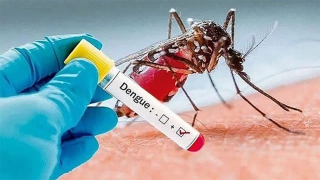 রাজধানীসহ সারাদেশে ২৪ ঘন্টায় ডেঙ্গুতে ৪ জনের মৃত্যু