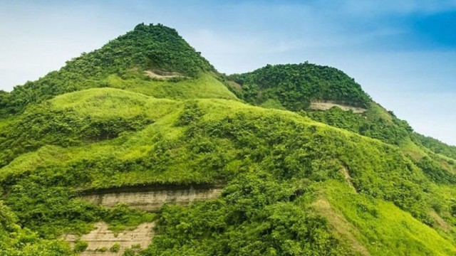 টেকনাফে পাহাড় থেকে বন বিভাগের ১৯ শ্রমিককে অপহরণ