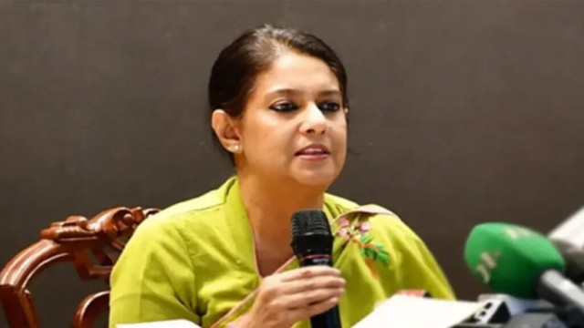 থার্টি-ফার্স্ট নাইটে আতশবাজি, ফানুস উড়ানো নিষেধ: বন ও পরিবেশ উপদেষ্টা